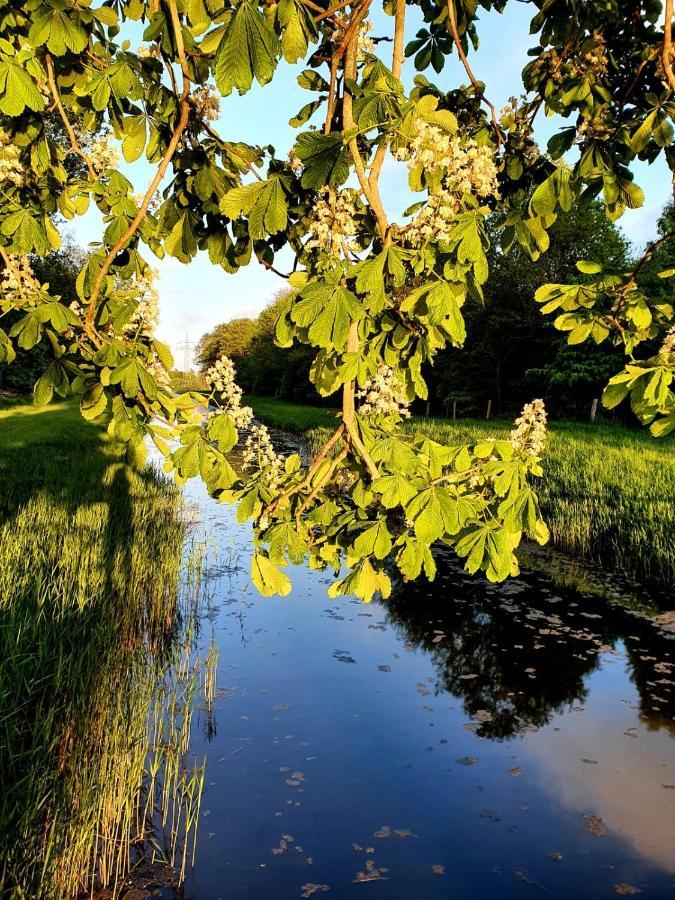 Ferienwohnung Daliah Wangels Eksteriør billede